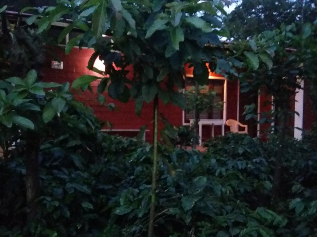 Athena Homestay Somvarpet Екстер'єр фото